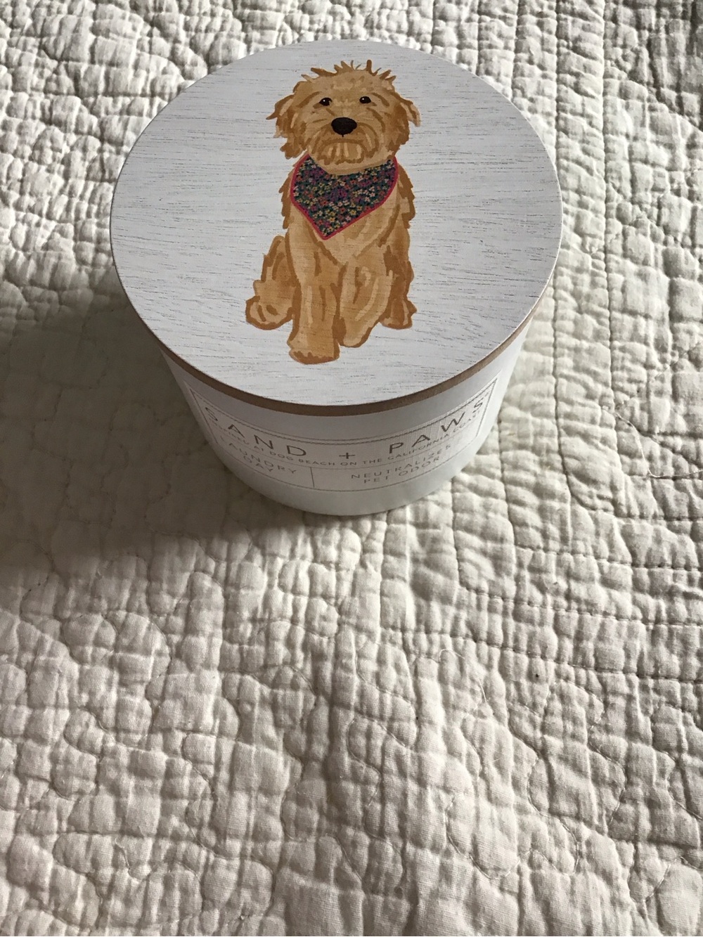 New Sand + Paws Dog Decorative Candle Glass Wooden Lid